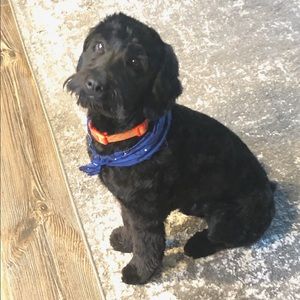 Meet your Posher, Greg